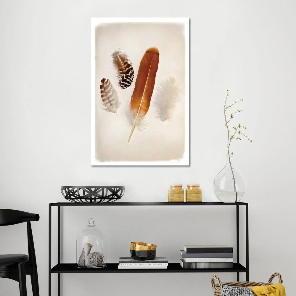 Canvas Wall Decor Prints - Feather Group I I53187