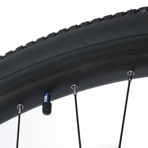 36 Unicycle T1725
