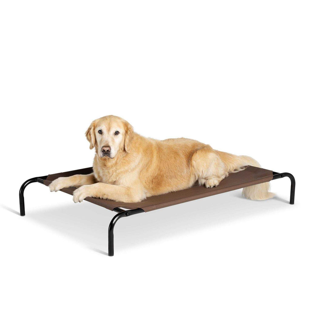 Elevated Dog Bed L618214
