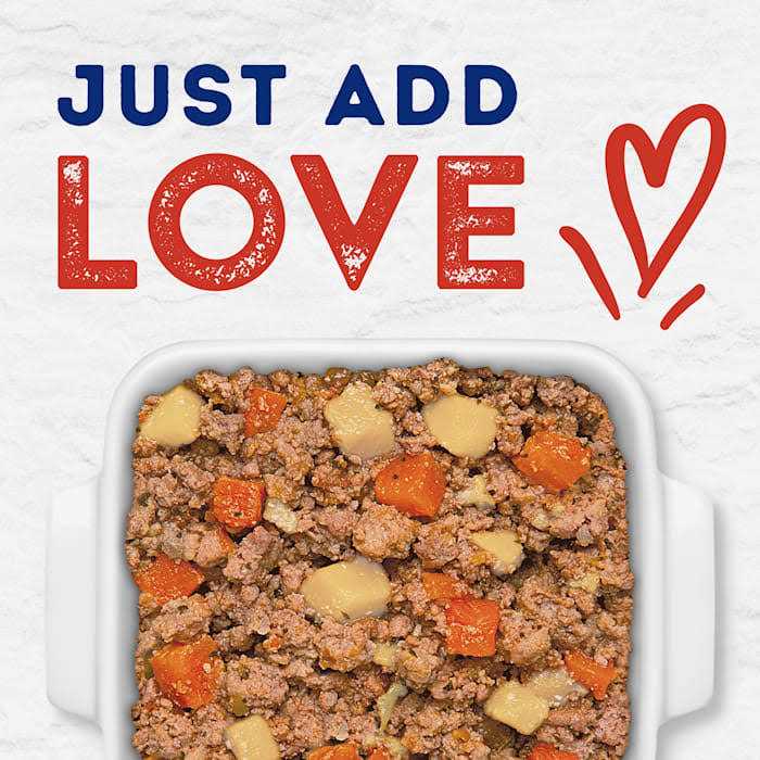 Tender Beef & Potato Recipe Wet Dog Food Q611701