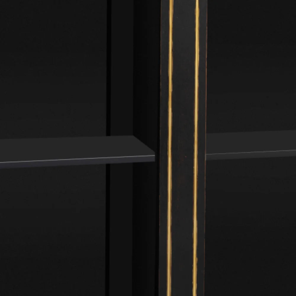 Black Storage Cabinet with 2 Doors W198