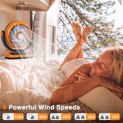 Camping Fan with LED Lantern, 8000mAh Rechargeable Battery Powered Tent Fan with Remote, 4 Speed D97836