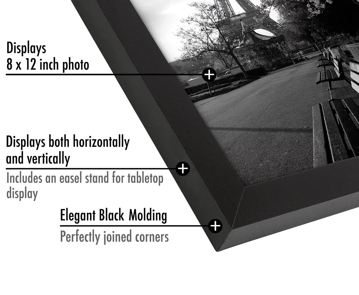 Black 8 x 12 Picture Frame X5676