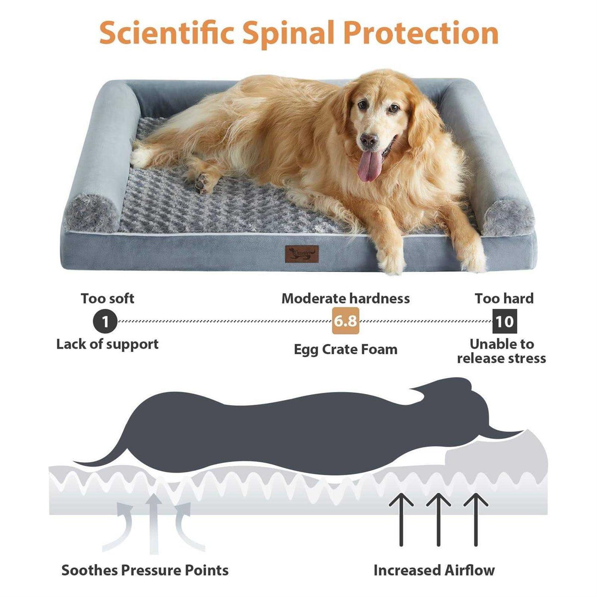 Orthopedic Egg Foam Dog Bed with Removable Washable Cover M3777