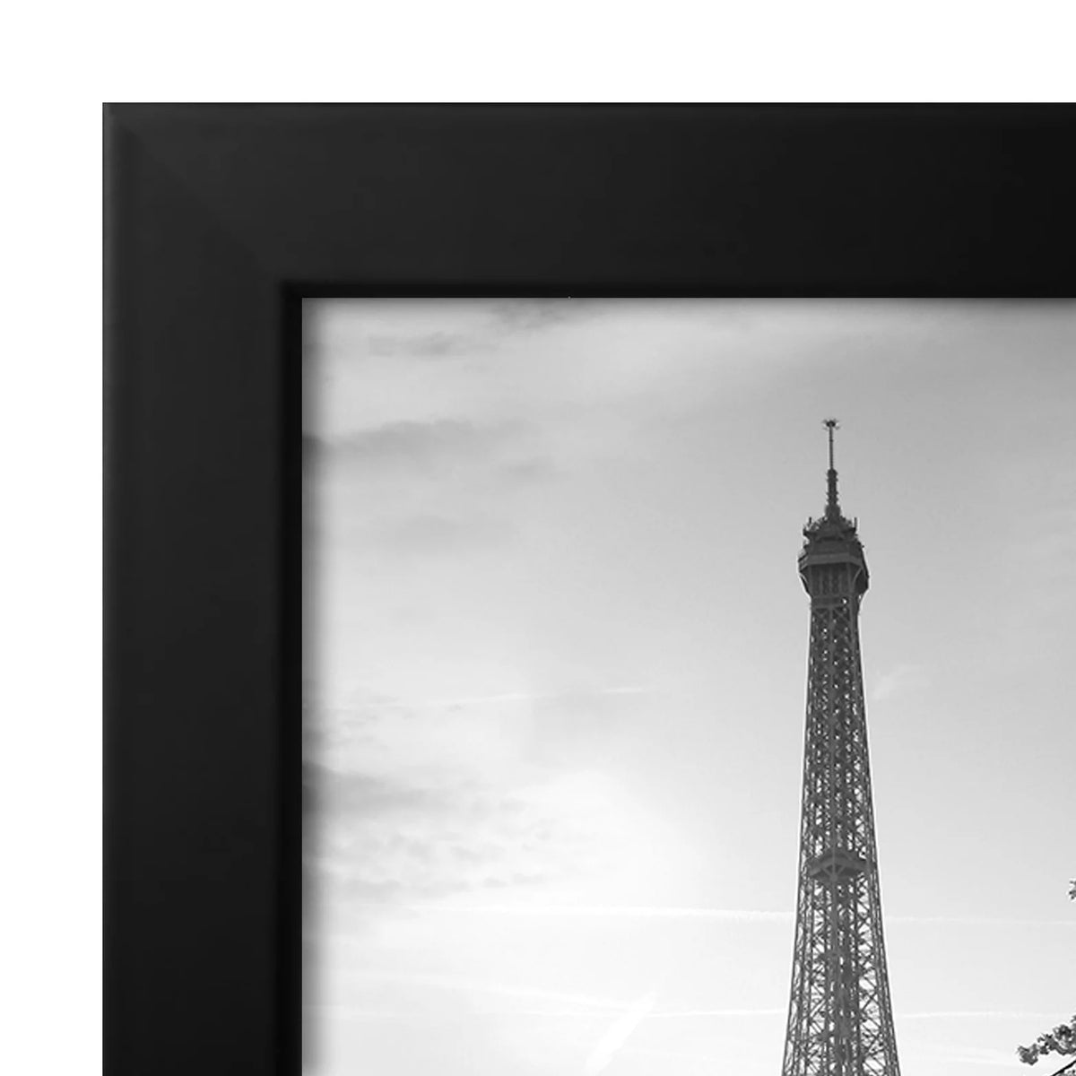 Black 8 x 12 Picture Frame X5676