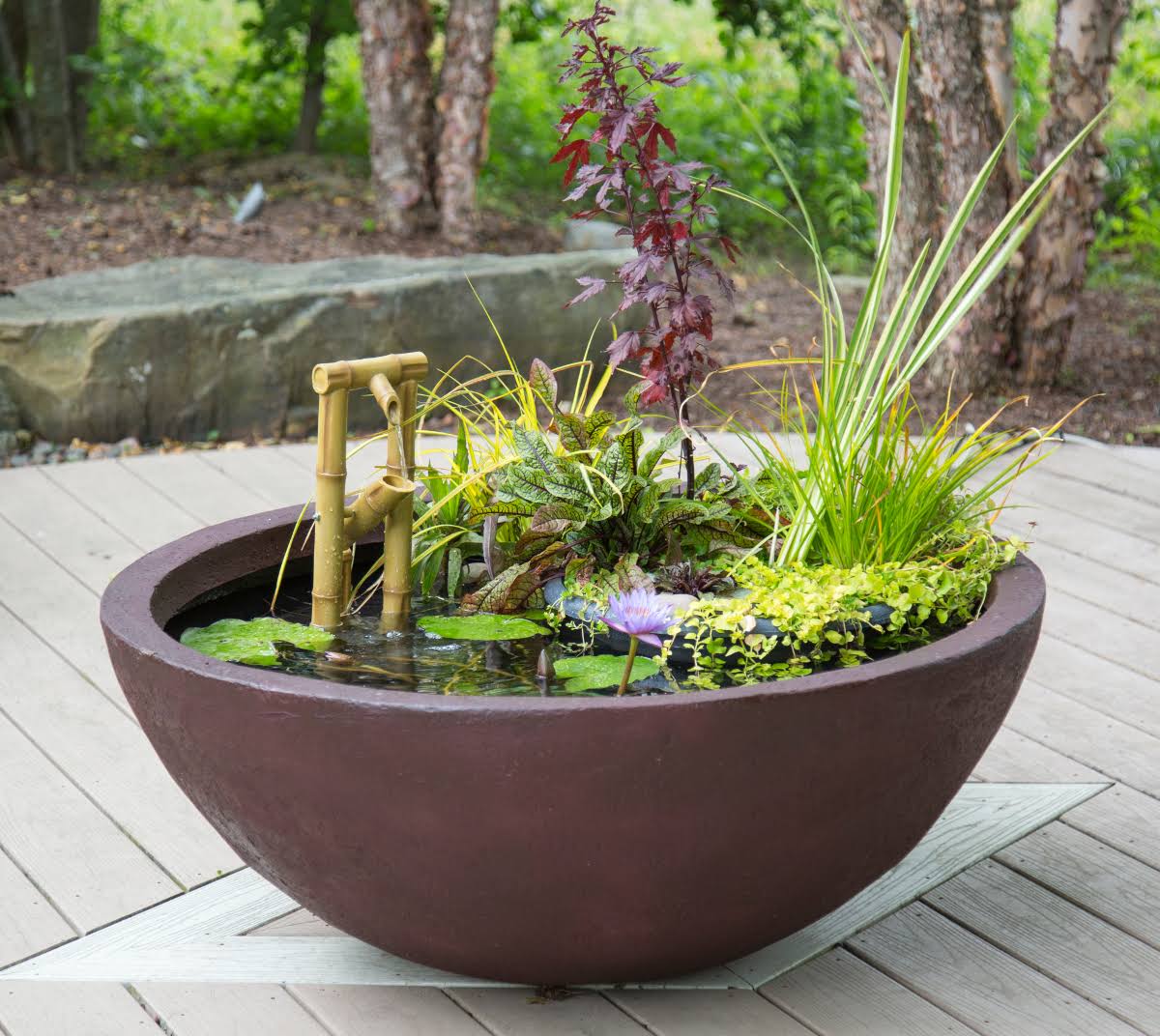 Aquatic Patio Pond J981