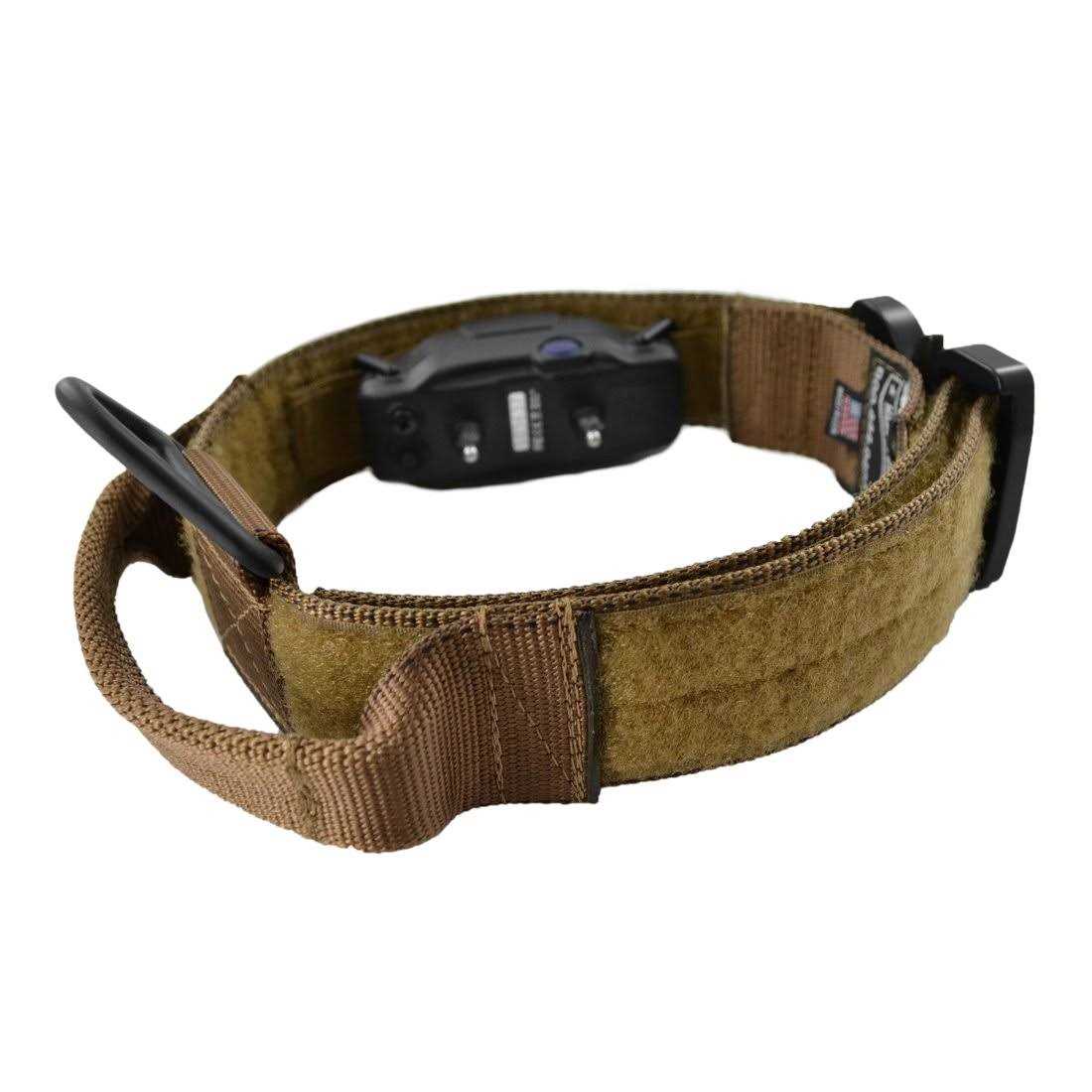 ID Collar Q33464
