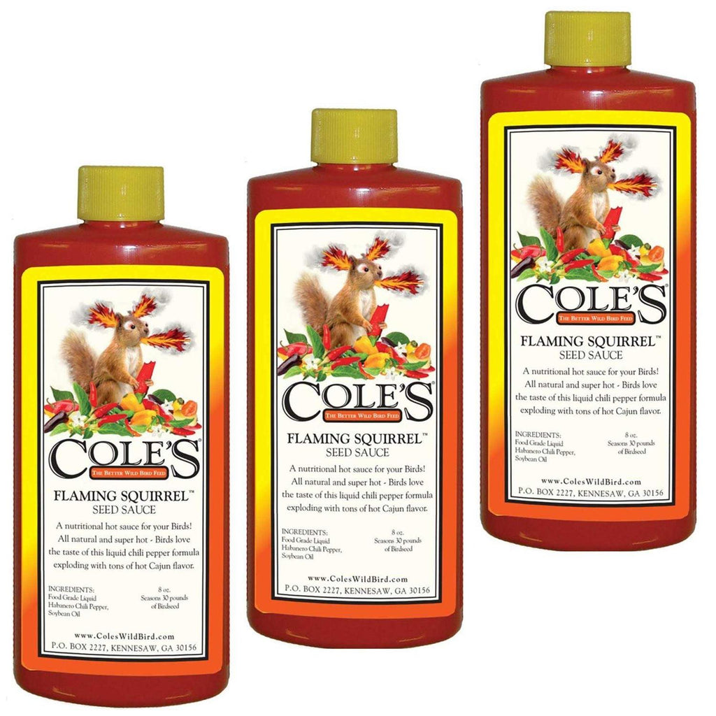 Flaming Squirrel Seed Sauce I452569