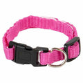 Collar O31375
