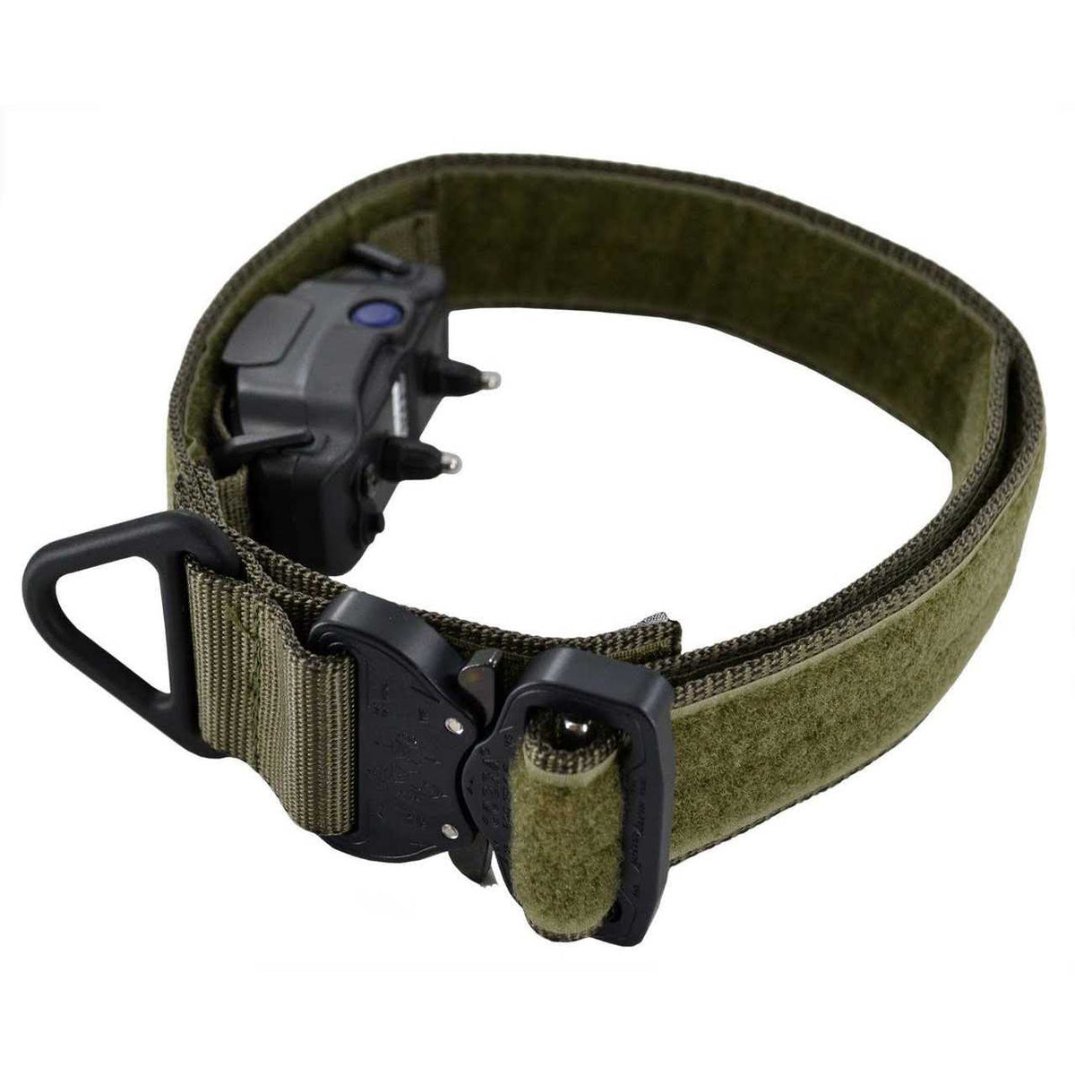 ID Collar Q33464