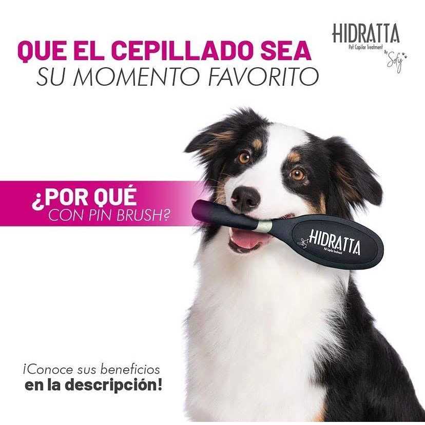 Pet Hairbrush N242564