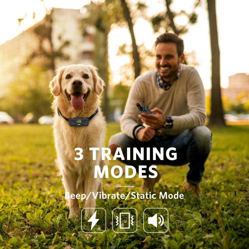 Dog Training System U4462