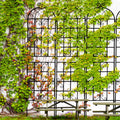 Metal Garden Trellis Black A18344
