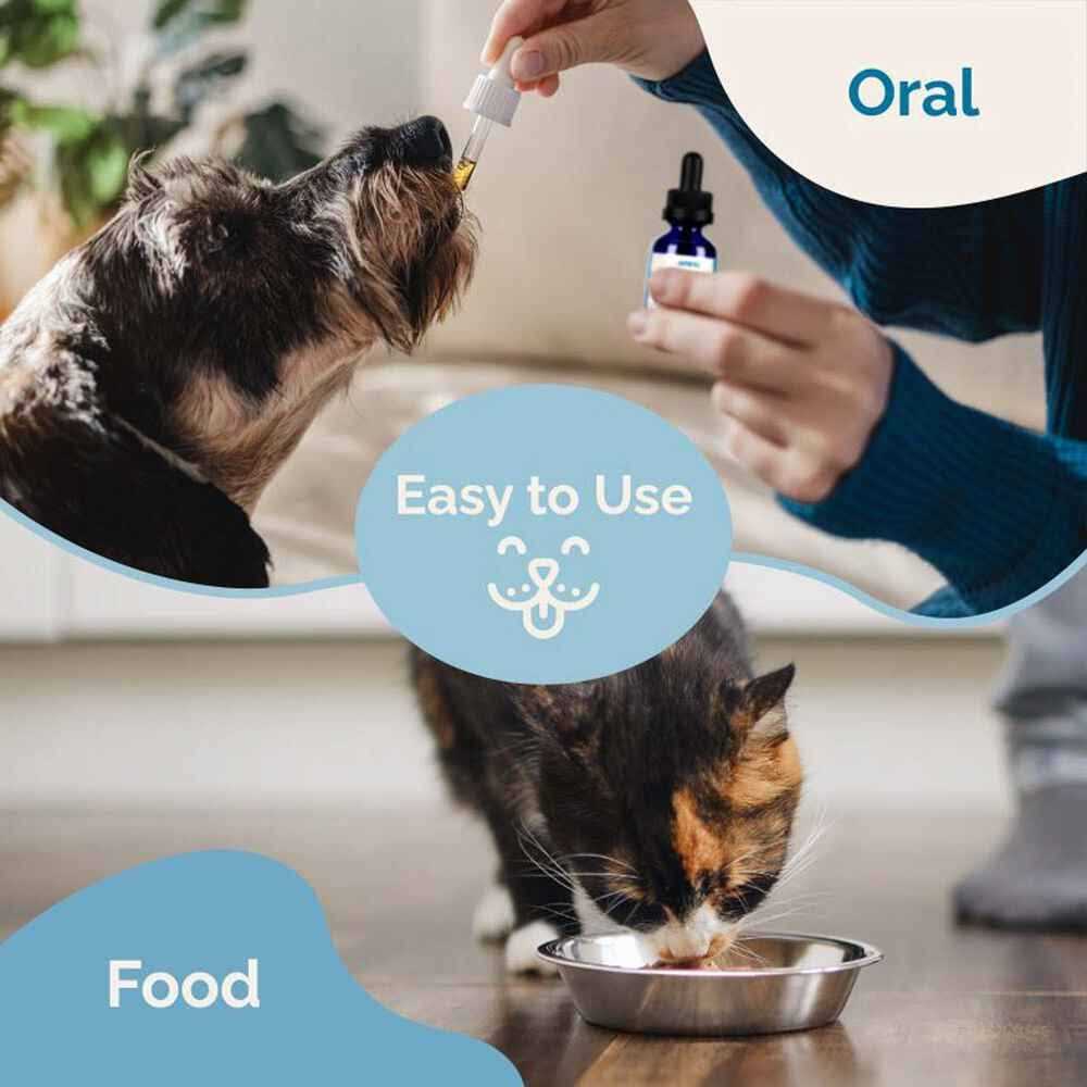 Respiratory Support Supplement for Dogs & Cats Y35397