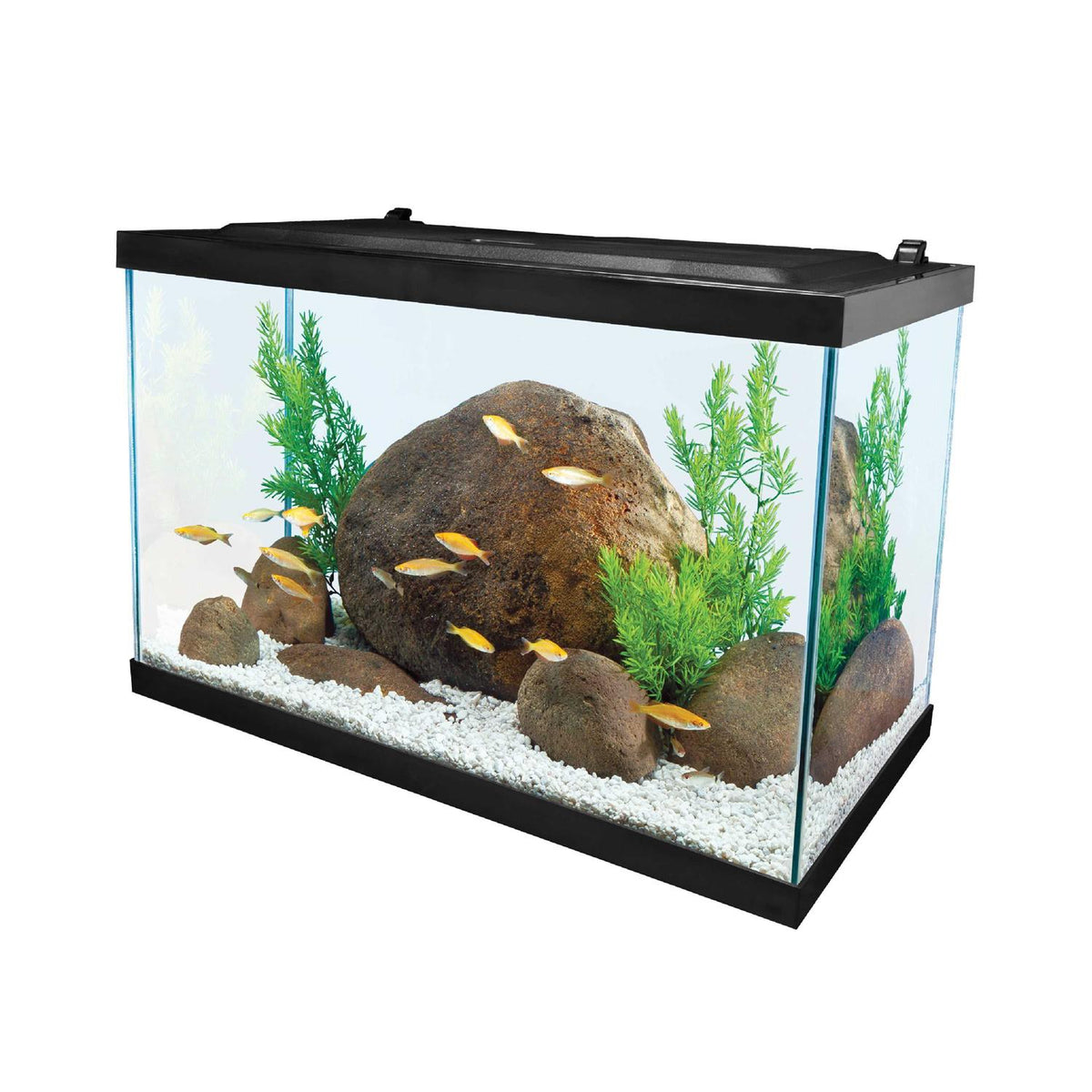 20 Gallon Glass LED Aquarium Kit Q506541