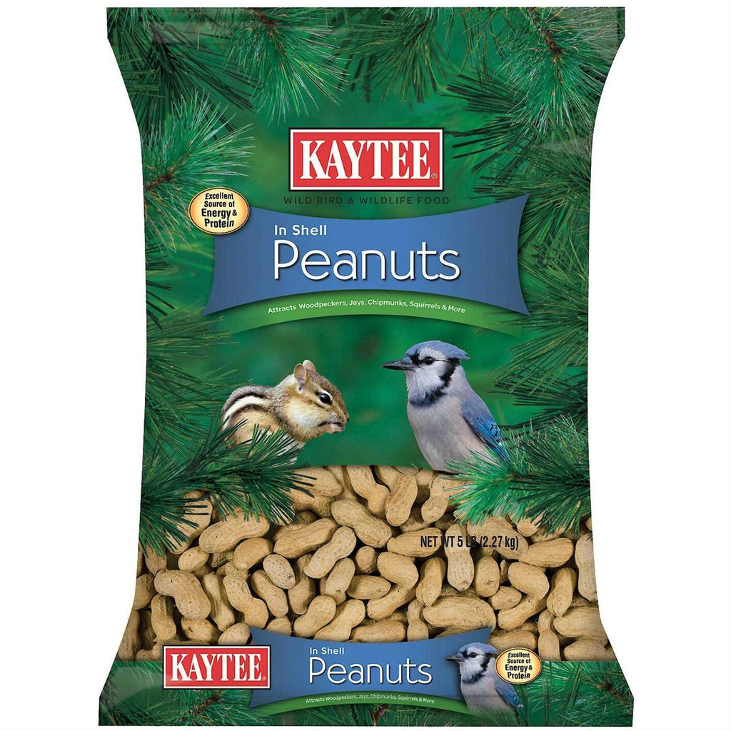 In Shell Peanuts I2800