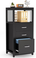 3 Drawer Letter Size File Cabinet with Wire Storage Shelves S213762