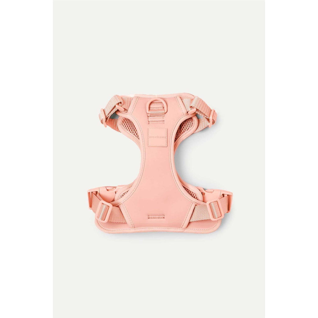 Double Panel Harness T4117