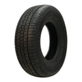 All Season P255/60R19 109H Tire N1867