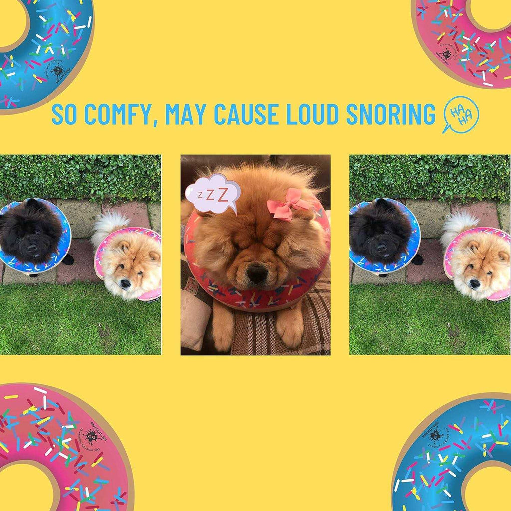 Dog Donut Collar C37980