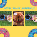 Dog Donut Collar C37980