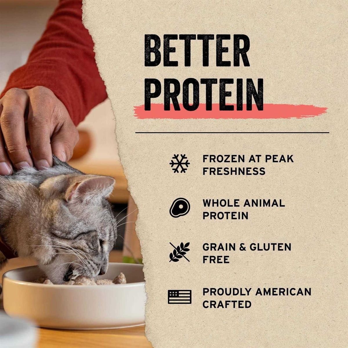 Freeze-Dried Minnows Cat Treats C946773