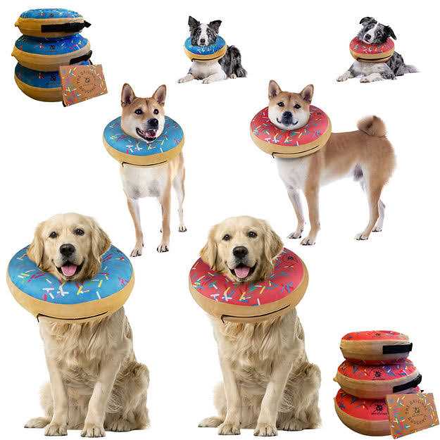 Dog Donut Collar C37980