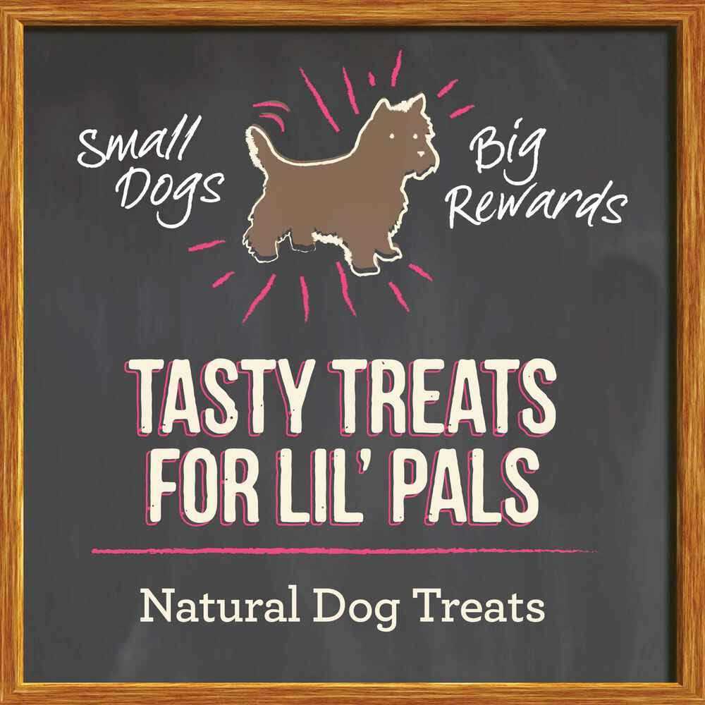 Small Recipe Dog Treats C92291