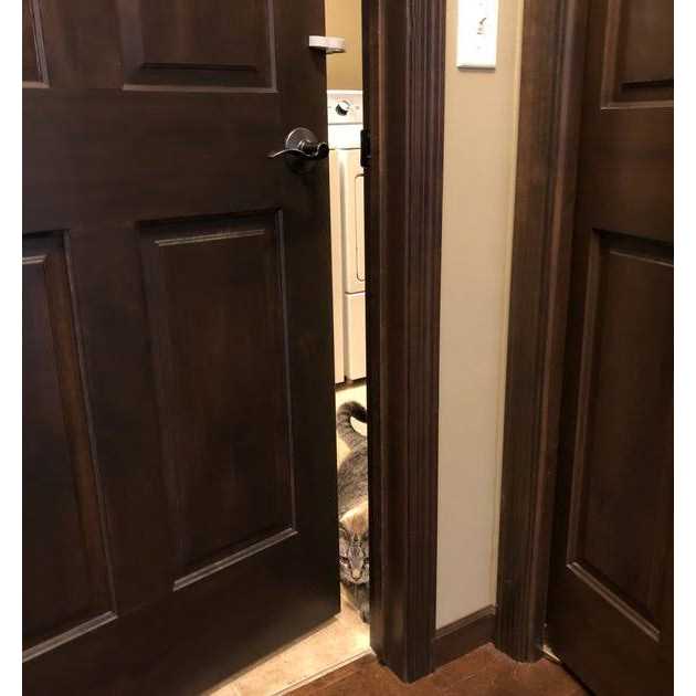 Door Paw-tector for Dogs H54854