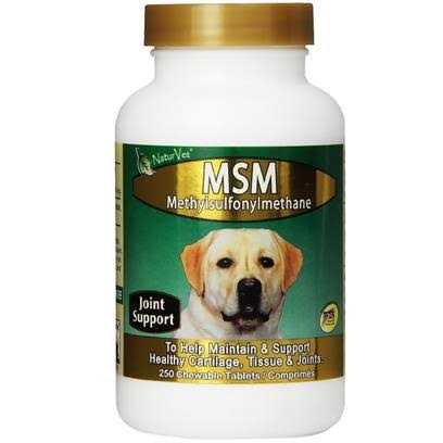 MSM Tablets for Dogs Z341739