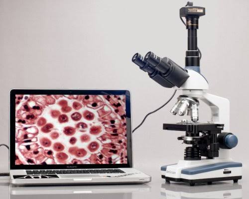 40X-2000X LED Trinocular Compound Microscope I4921