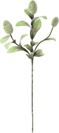 Botanica M8565