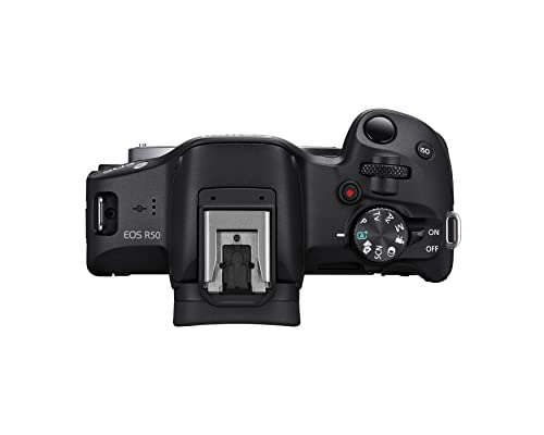 Mirrorless Camera O137