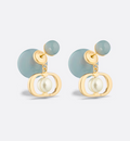 Earrings N72033