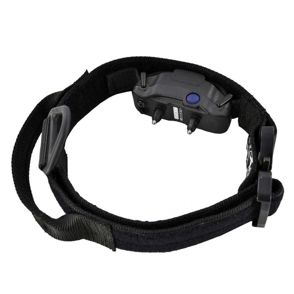 ID Collar Q33464