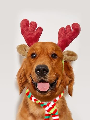 Christmas Reindeer Antler Headband for Dog A55545