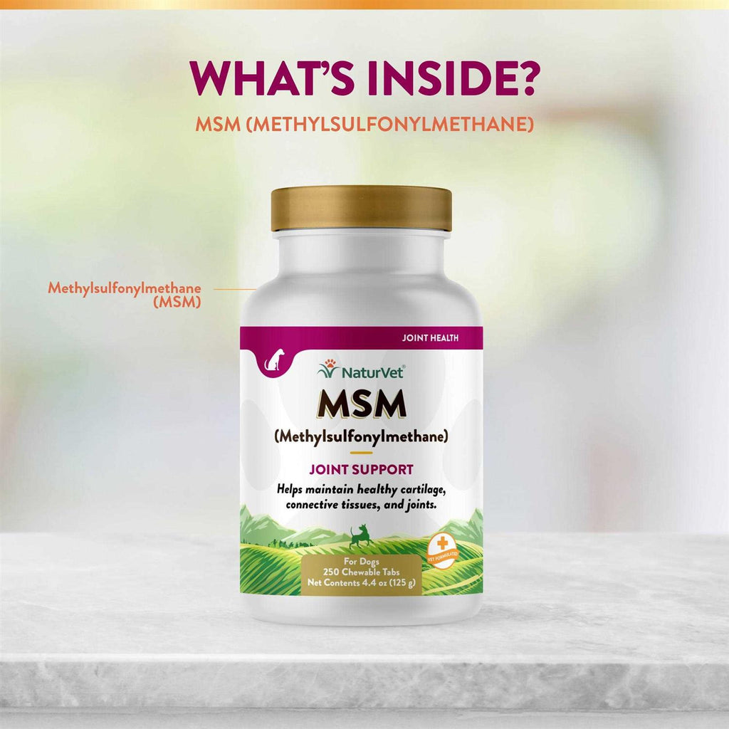 MSM Tablets for Dogs Z341739