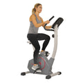 Foldable Exercise Bike B381094