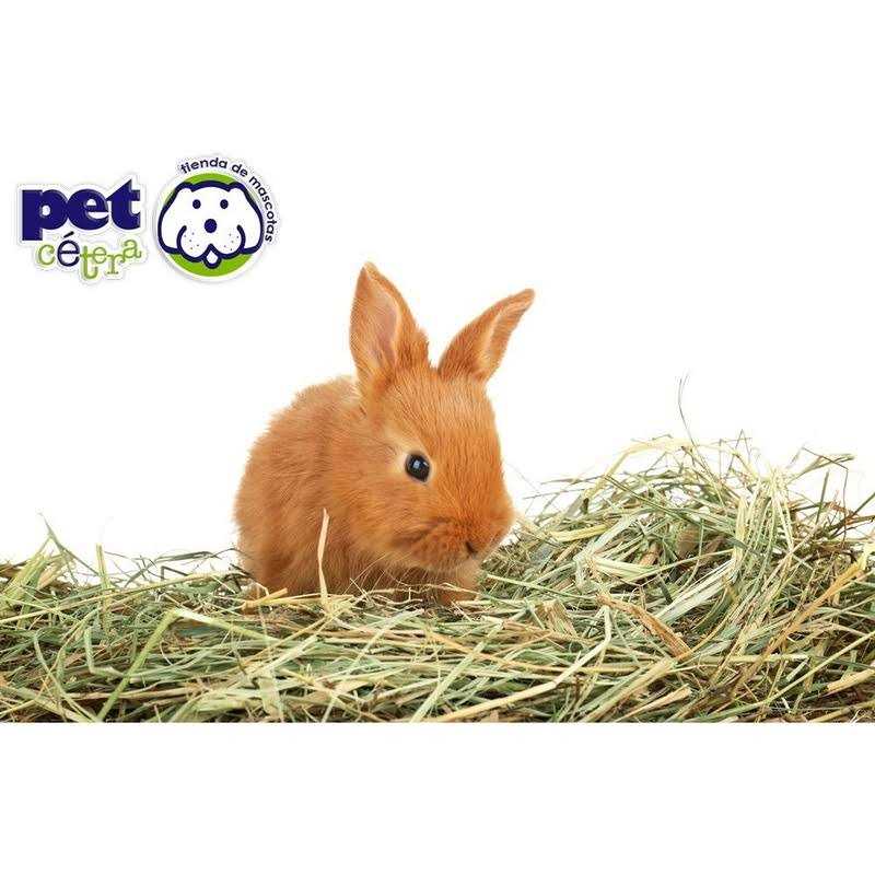 Timothy Rabbit Food S640