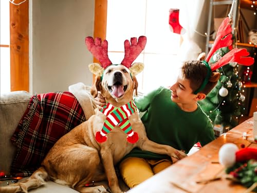Christmas Reindeer Antler Headband for Dog A55545