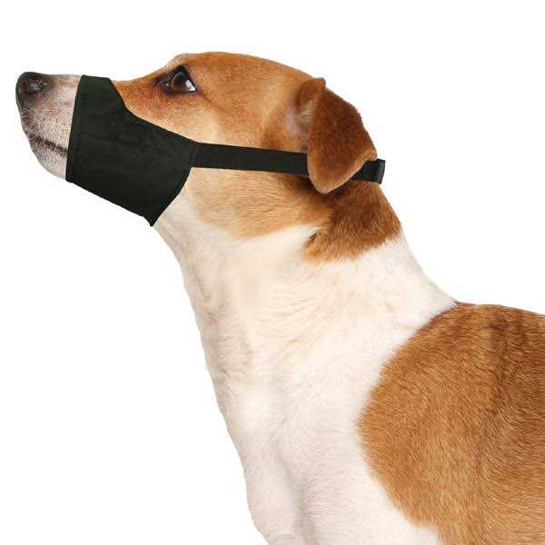 Pet Muzzle R5463
