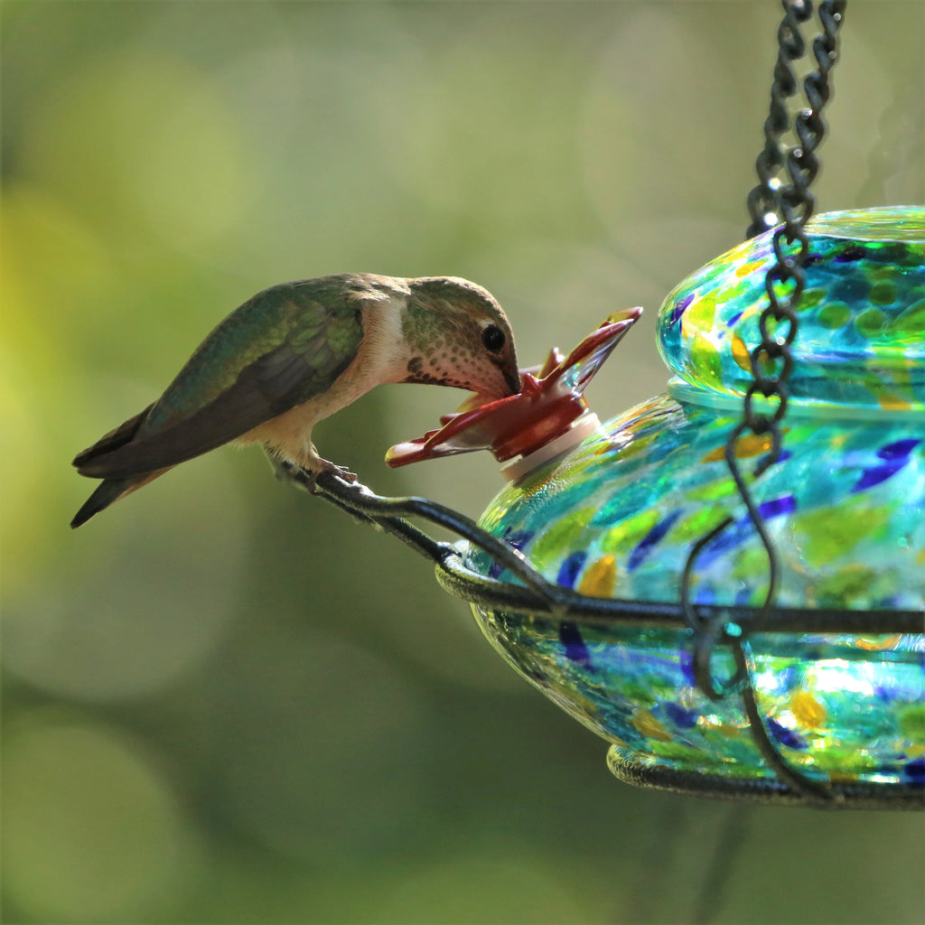 Artisan Glass Solar-Powered Hummingbird Feeder 16 oz V878
