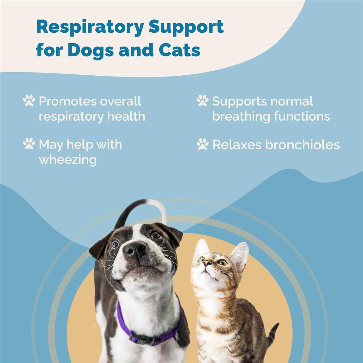 Respiratory Support Supplement for Dogs & Cats Y35397