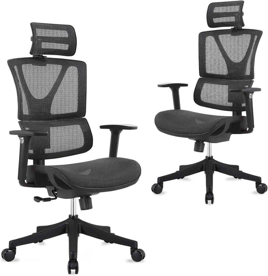 Ergonomic Mesh Computer Chair with Lumbar Support and Headrest H2490