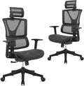 Ergonomic Mesh Computer Chair with Lumbar Support and Headrest H2490