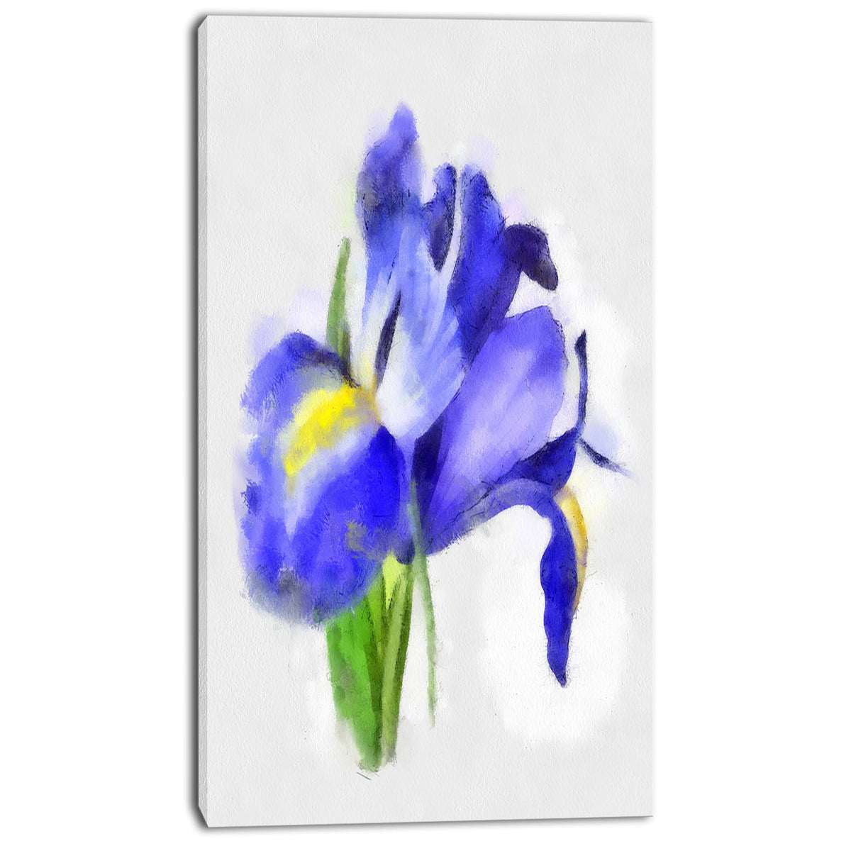Blue Iris Illustration Watercolor Painting Print on Wrapped Canvas L4741