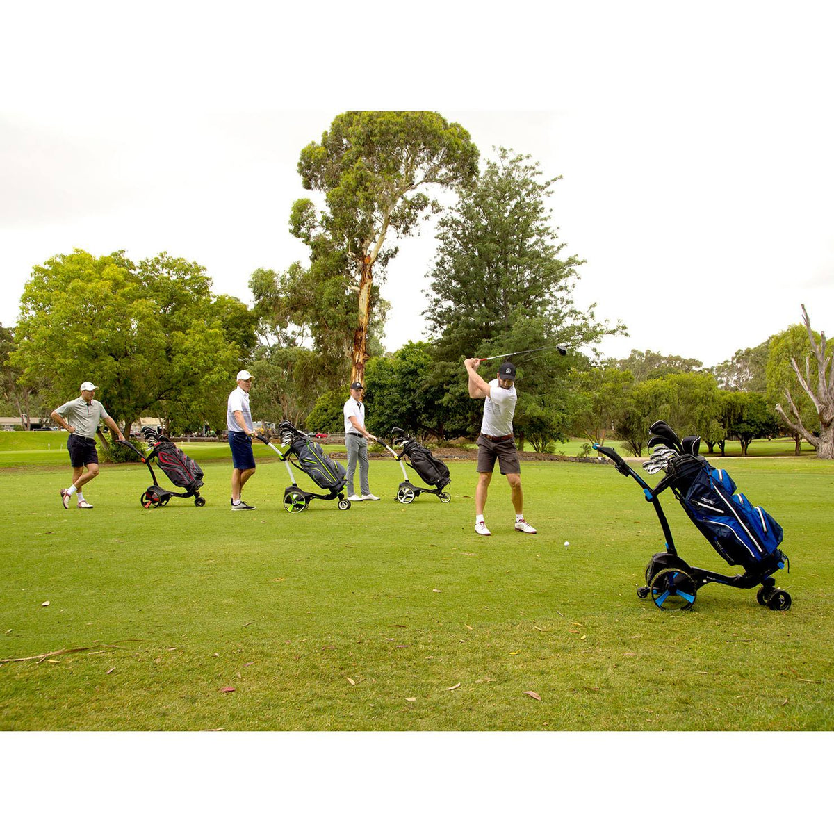 White Electric Golf Caddy M85132