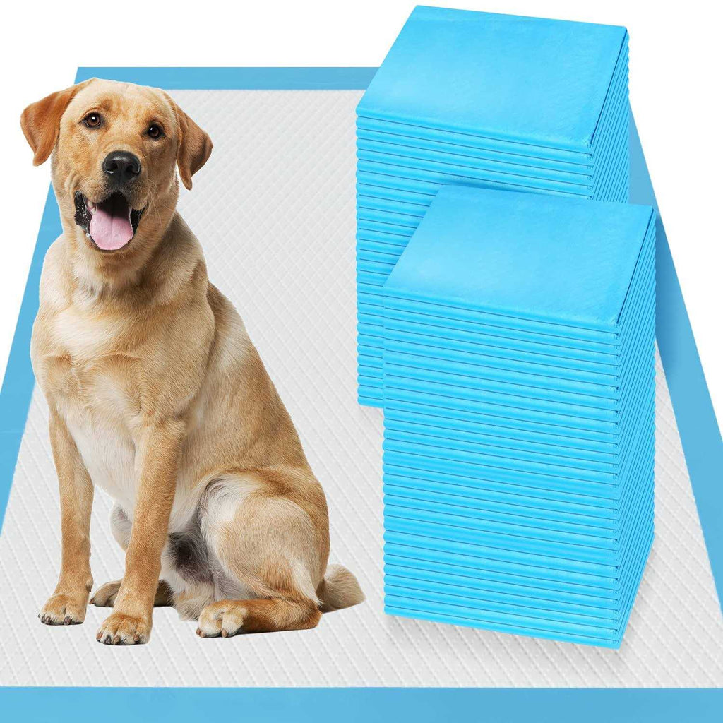 XXL 30x36 Heavy Absorbent Pet Training Pee Pads L894
