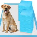 XXL 30x36 Heavy Absorbent Pet Training Pee Pads L894