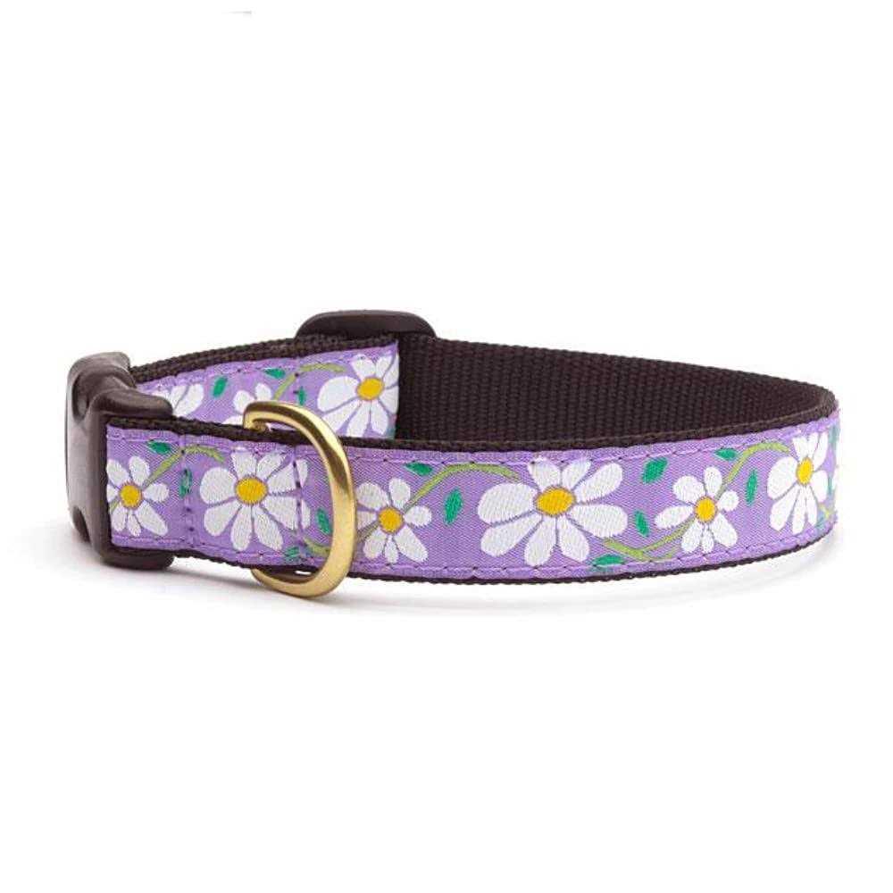 Daisy Dog Collar W13136